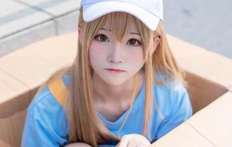 绮太郎樱花合集，没想到你居然也是花痴？